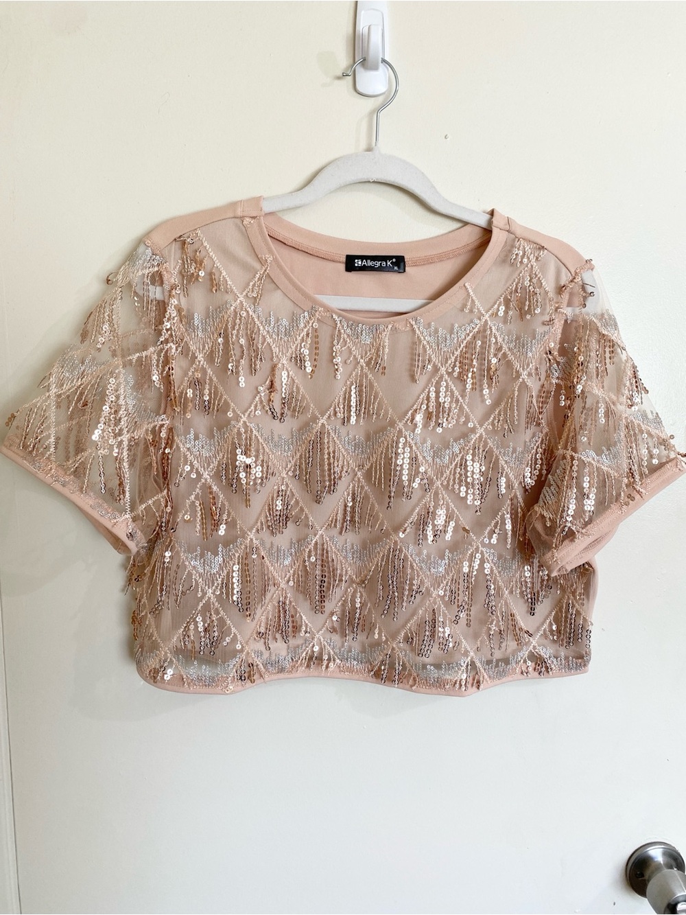 Rose Gold Sequin Shiny Glitter Crop Mesh Short Sleeve Tassel New Years Top XL